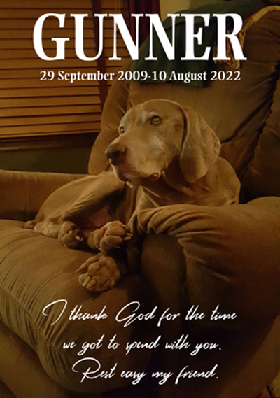 Gunner Saunders - RIP